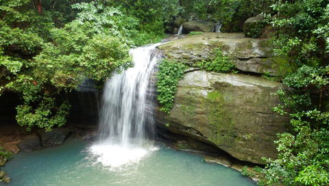 Buderim Forest Hideaway - QLD Tourism 0
