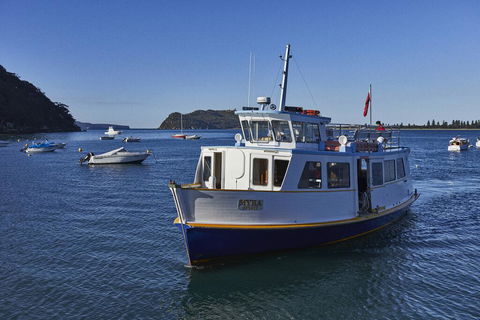 Cape Mackerel Cabin With Magic Palm Beach & Pittwater Views - QLD Tourism 2