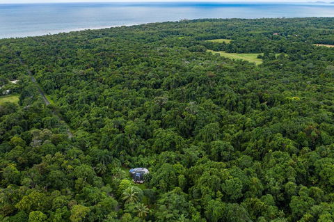 Cape Tribulation Holiday House - Queensland Tourism 1