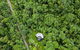 Cape Tribulation Holiday House - thumb 2