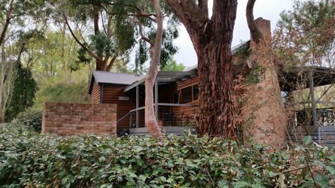 Cedarwood Holiday Park - QLD Tourism 3