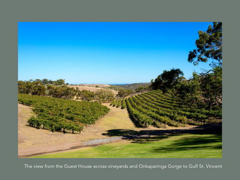 Chapel Hill Winery Guest House - QLD Tourism 1