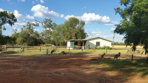 Charleville Bush Cottage - QLD Tourism 1