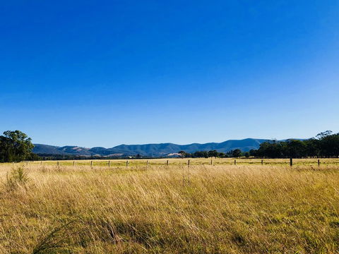 Charlotte Tiny House - Queensland Tourism 2