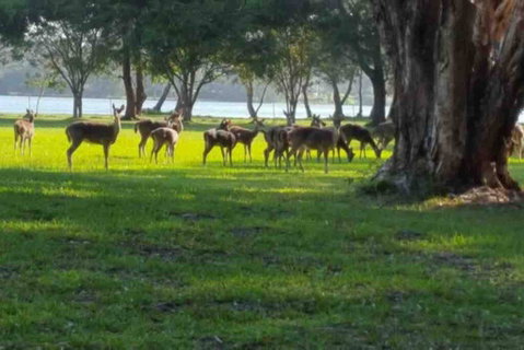 Chateau Le Marais - QLD Tourism 2