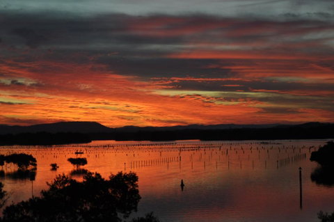 CHILL-OUT LAKESIDE @ FORSTER - QLD Tourism 3