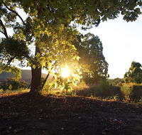 Clarendon Forest Retreat - Queensland Tourism