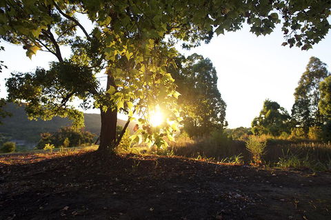 Clarendon Forest Retreat - QLD Tourism 0