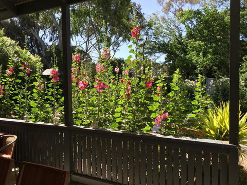 Clarevale Cottage B&B - QLD Tourism 1