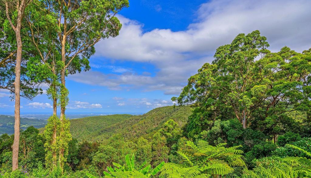 CLOUD 9 - Cliff Top Eagle Heights - thumb 3