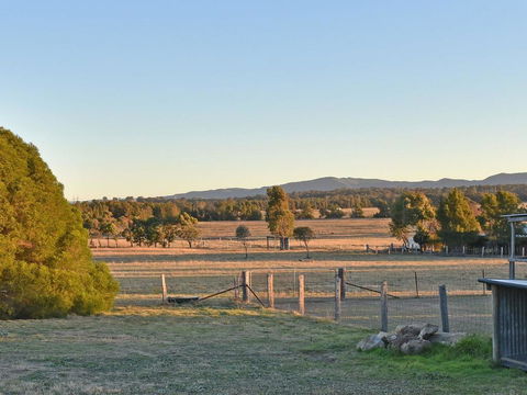 Clydesdale Cottage On Talga With Real Clydesdale Horses - Queensland Tourism 1