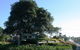 Cooroy Luxury Motel Apartments - thumb 2
