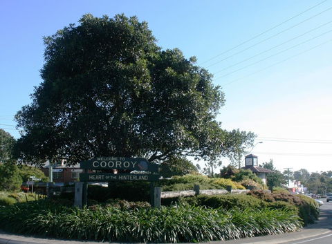Cooroy Luxury Motel Apartments - Queensland Tourism 2