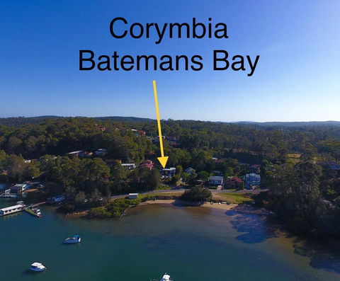 Corymbia Batemans Bay - Queensland Tourism 1