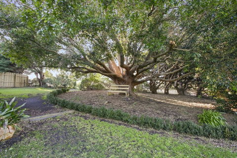 Cosy Californian Bungalow - QLD Tourism 1