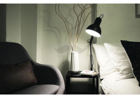 Cosy Home In The Heart Of Sydney - Queensland Tourism 3