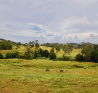 Country Breeze Farm Stay - QLD Tourism