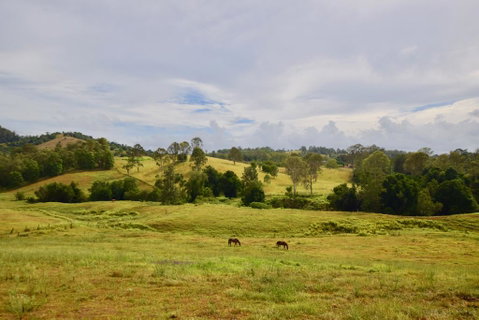 Country Breeze Farm Stay - QLD Tourism 0