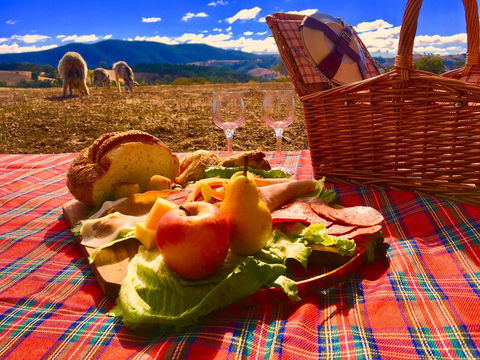 Country Budget - QLD Tourism 3