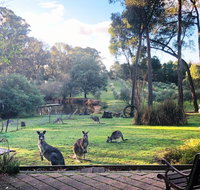 Countryside Retreat Spa Cottage Hepburn - Daylesford - QLD Tourism