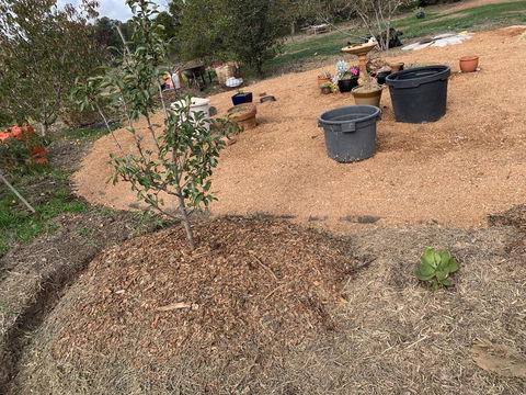 Creative 3D Sculpture Share - QLD Tourism 1