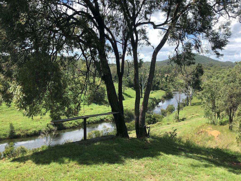 Black Snake QLD QLD Tourism