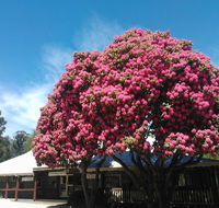 Crossways Country Inn - Queensland Tourism