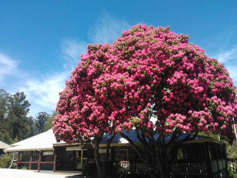 Crossways Country Inn - QLD Tourism 0
