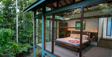 Crystal Creek Rainforest Retreat - QLD Tourism 3