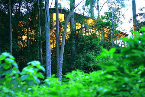 Crystal Creek Rainforest Retreat - QLD Tourism 1