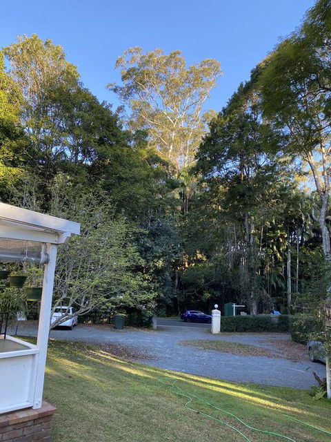 Curtis Falls Studio-Apartment - Queensland Tourism 3