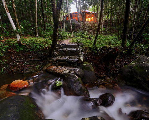 Daintree Cascades - Queensland Tourism 0