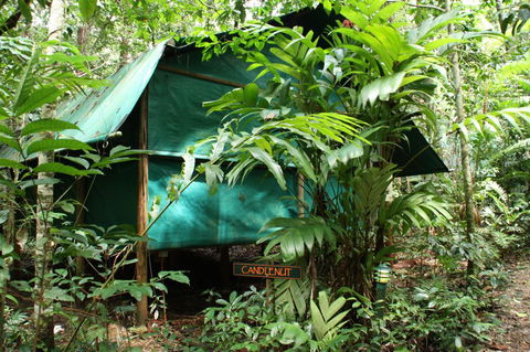 Daintree Crocodylus - Queensland Tourism 0