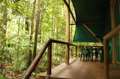 Daintree Crocodylus - Queensland Tourism 1