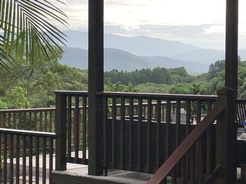 Daintree Valley Cottage - QLD Tourism 1