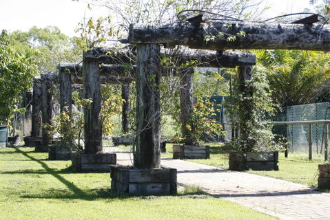 Daintree Wild Bed & Breakfast - QLD Tourism 2