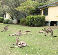 Depot Beach Cabins - Queensland Tourism