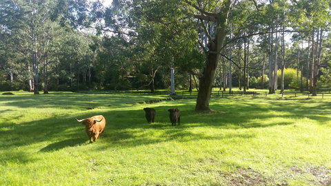 Dingley Dell - Queensland Tourism 3