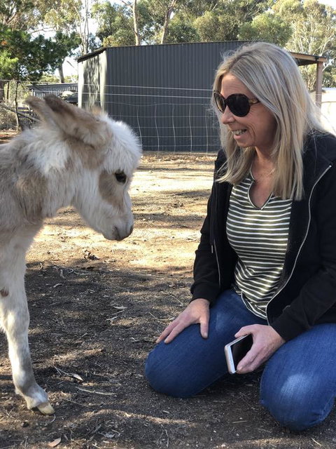 Donkey Tales Farm Cottages - QLD Tourism 1
