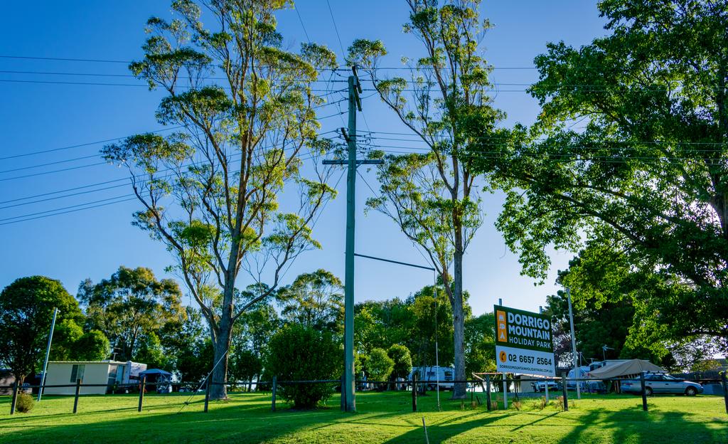 Wild Cattle Creek NSW QLD Tourism