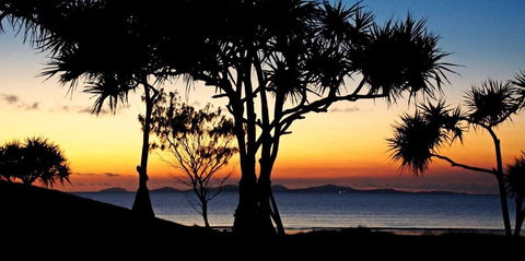 Driftwood Motel And Holiday Units - Queensland Tourism 2