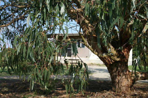 Driftwood Villas - Queensland Tourism 3