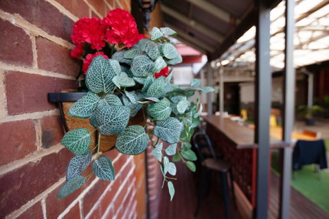 Duke's Inn - QLD Tourism 2