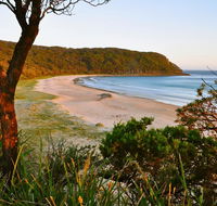 Durras Lake North Holiday Park - Queensland Tourism