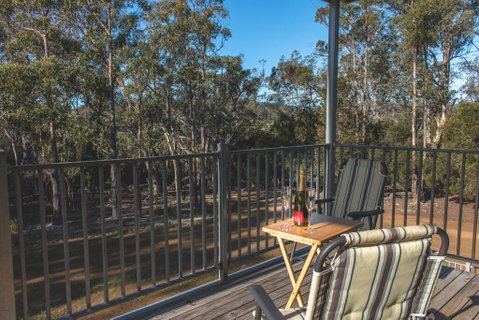 Echidna On Bruny - QLD Tourism 1