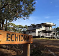 Echidna on Bruny - Queensland Tourism