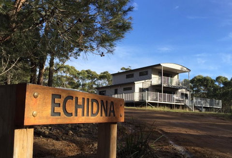 Echidna On Bruny - QLD Tourism 0