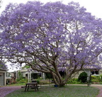 Ecotel Narooma - QLD Tourism