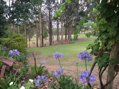 Elfin Hill Vineyard Accommodation - Queensland Tourism 2