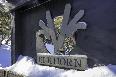 Elkhorn 11 - Queensland Tourism 2